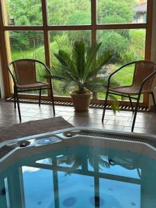 a pool with two chairs and a table and a plant at Pensiunea Szeptember in Dăneşti