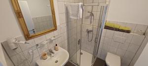 a bathroom with a shower and a sink and a toilet at "Nesthocker" Café-Snackbar-Pension-Bauwagencamp in Offingen