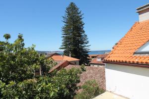 a tree in the middle of a city with roofs at Casa Príncipe 12 in Cambados