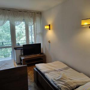 a bedroom with two beds and a television and a window at Kwatery u Gabrieli in Włodzimierzów
