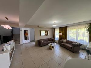 a large living room with couches and a tv at Oaza Apusenilor in Călăraşi