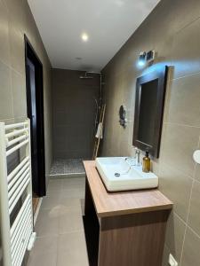 a bathroom with a sink and a shower at La Bourse in Bagnols-sur-Cèze