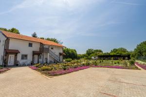 ein Innenhof eines Hauses mit Garten in der Unterkunft Mariachi Surčin in Surčin