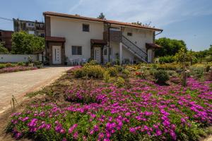 ein Garten vor einem Haus mit rosa Blumen in der Unterkunft Mariachi Surčin in Surčin