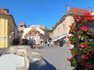 a city street with buildings and flowers on the side at Céhmesterek apartman in Eger