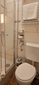 a small bathroom with a toilet and a shower at Pension Seeschlösschen in Mölln +69 photos