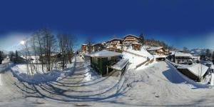 green Home - Sonniges Chalet in den Alpen зимой