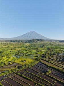 an aerial view of a rice field with a mountain in the background at GumiBali Villa in Tirtagangga