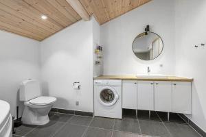 a bathroom with a toilet sink and a washing machine at HA317-Hals-Bisnapkrat-10 in Hals +19 photos