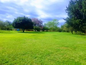 a large field of grass with trees in the background at Matsapha Hotel in Mahlanya +9 photos