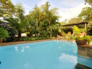 a large swimming pool in a yard with palm trees at Raptor's Rest Bed and Breakfast in Empangeni