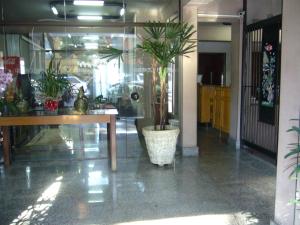 a lobby with a table and a potted plant at Residence Hotel in Jaú