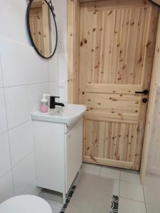 a bathroom with a sink and a wooden door at Štalca in Bušinja Vas
