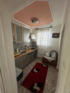 a small kitchen with a sink and a red rug at Hil in Rakovica +58 photos