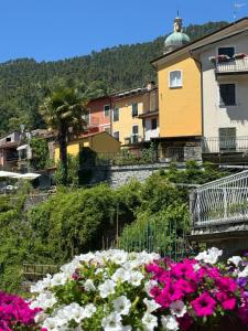a group of flowers in front of a building at Superiore 33 room apartment in Pignone