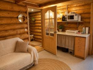 a kitchen in a log cabin with a microwave at Peaceful Nature Cottage near Talsi with Hot Tub, Sauna & Pond, Camping Ives in Talsi