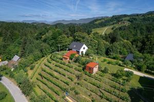an aerial view of a farm with a house on a hill at Glamping Slavica in Dramlje