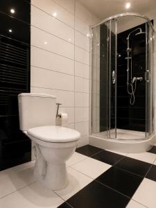 a bathroom with a toilet and a shower at Villa Jeziorki in Warsaw +42 photos