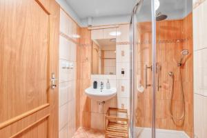 a bathroom with a shower and a sink at Apartmány Nerudova in Vítkovice +74 photos