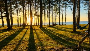 a hammock in the shade of trees at the beach at ''Jūras Mala'' in Labrags