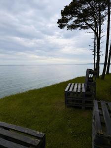 a wooden bench sitting on the grass near the water at ''Jūras Mala'' in Labrags +75 photos