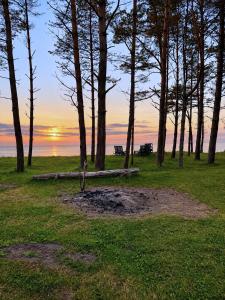 a park with trees and a bench and the ocean at ''Jūras Mala'' in Labrags