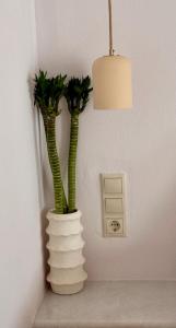 a white vase with green plants in it on a wall at Restía in Donoussa