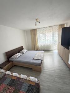 a bedroom with a bed and a flat screen tv at Vila Mina in Ocnele Mari