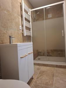 a bathroom with a toilet and a shower at Stable for two in Hégenheim