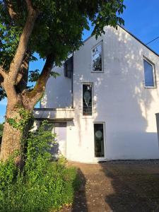 a white building with a tree in front of it at Zum Nussbaum Wohnung Walnuss 86 qm 2 Schlafzimmer alles neu renoviert in Gerstetten