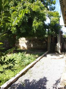 a yard with a stone wall and a tree at Kilifi Hideaway,Spacious Coastal Retreat in Kilifi
