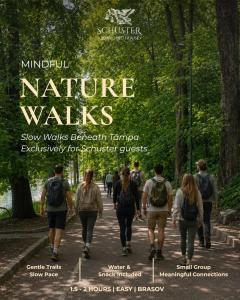 a poster of a group of people walking down a path at SCHUSTER Boarding House in Braşov
