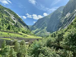 a view of a valley with a river and mountains at Studio Apartment Göschenen in Göschenen