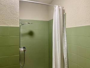 a shower with a white shower curtain in a bathroom at Studio Apartment Göschenen in Göschenen +27 photos