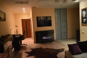 a living room with a fireplace and a couch at Riga airport Apartment in Riga