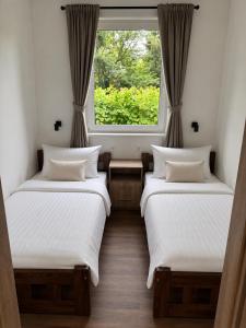 two beds in a room with a window at V44 Resort in Visegrád