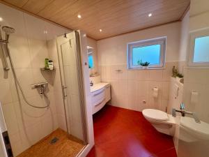 a bathroom with a toilet and a sink and a shower at Ferienwohnung Sattler in Mistelgau +18 photos
