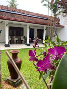 a vase and flowers in a yard with a house at White Bridge House & Resort in Aluthgama