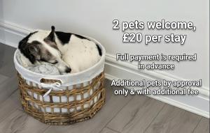 a dog sleeping in a basket on the floor at Broadweavers - Very Cute Cottage In Dursley By STAE-Homes in Gloucestershire +24 photos