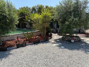 a garden with trees and a swimming pool at Brown in Penmarch +10 photos