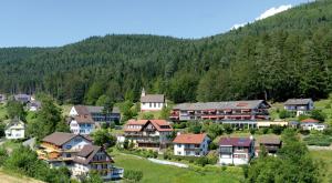 Příroda nedaleko hotelu