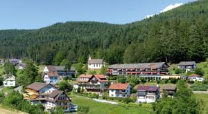 Imagen de la galería de Hotel Waldlust, en Baiersbronn