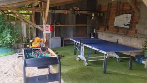 two blue ping pong tables in a shed with a chessboard at pastelle entre zoo et chateau in Contres