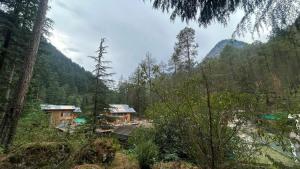 a house in the middle of a forest at Northbound Kasol in Kasol