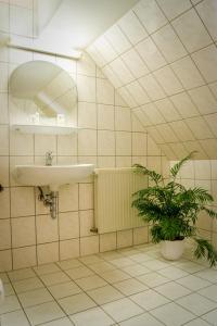 A bathroom at Hotel Schloßblick Trebsen