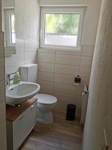 a bathroom with a toilet and a sink and a window at Ferienwohnung DORFWIESE in NuÃŸbaum +8 photos