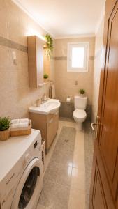 a bathroom with a toilet sink and a washing machine at Théa Loft Premium Sunset Sea View Escape in Vathý +65 photos