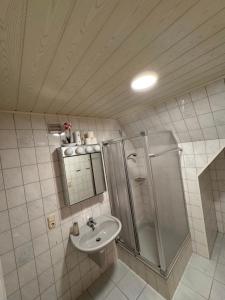 a bathroom with a shower and a sink at Ferienwohnung am Rohrbach in Binnen +6 photos