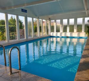 a large swimming pool with blue water and windows at Seemöwe im Haus Windrose in Butjadingen