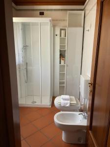 a bathroom with a toilet and a shower at LI DA BIS Affittacamere in Avasinis